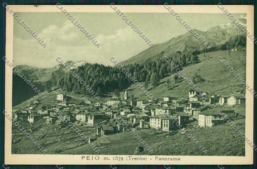 Trento Pejo cartolina ZC2787 – fronte