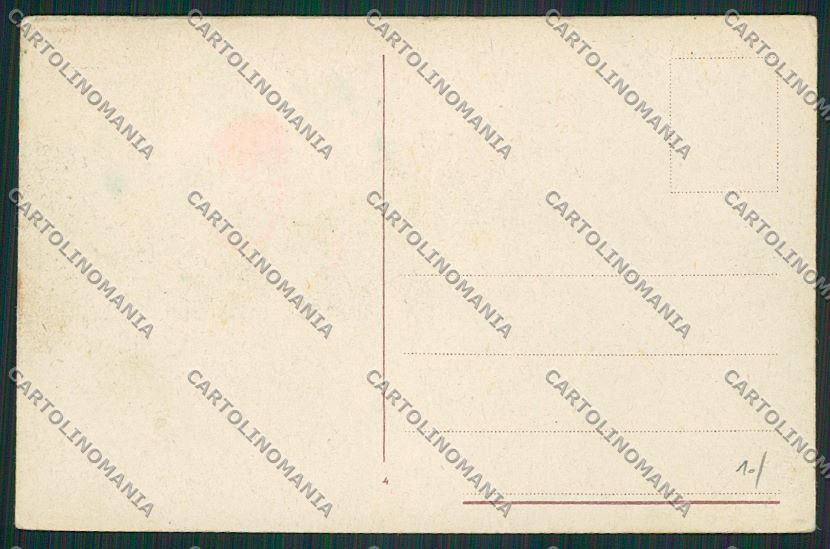 Trento Alpi Trentine cartolina ZC2845 – retro