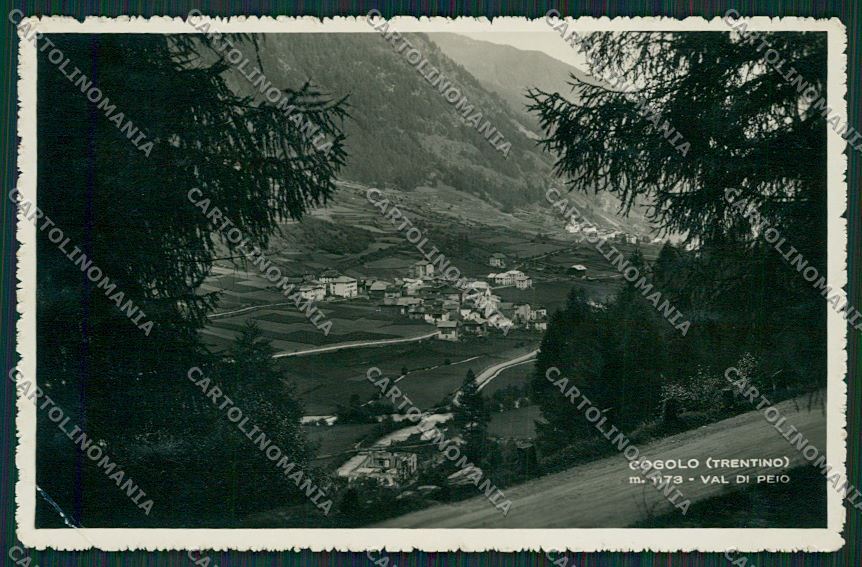 Trento Cogolo PIEGHINA Foto cartolina ZC2935 – fronte