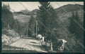 Trento Valle di Pejo Foto cartolina ZC2969 – fronte