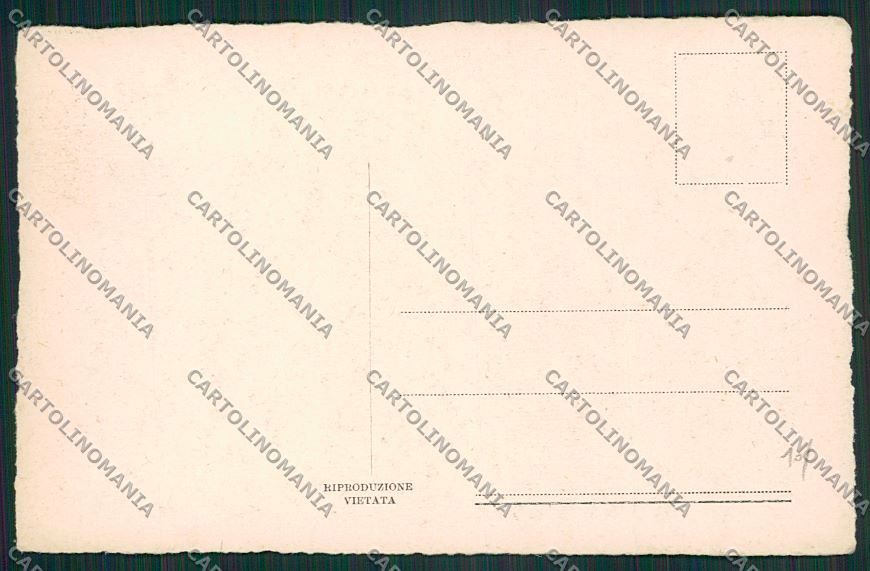 Verona Città cartolina ZC3145 – retro