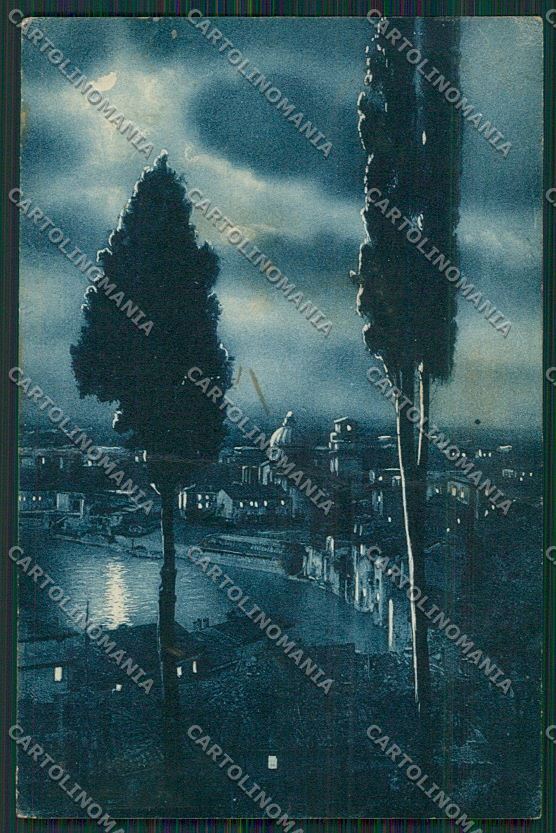 Verona Città Chiaro di Luna MACCHIE PIEGA cartolina ZC3299 – fronte