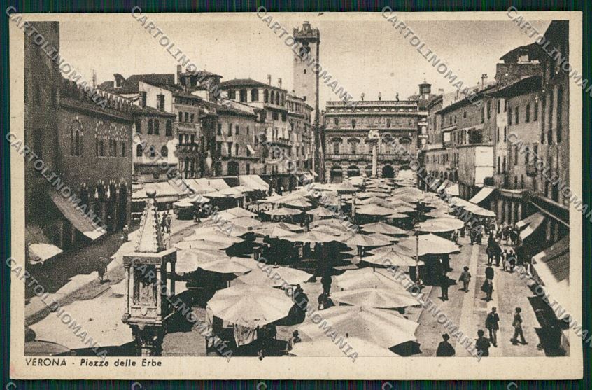 Verona Città cartolina ZC3324 – fronte