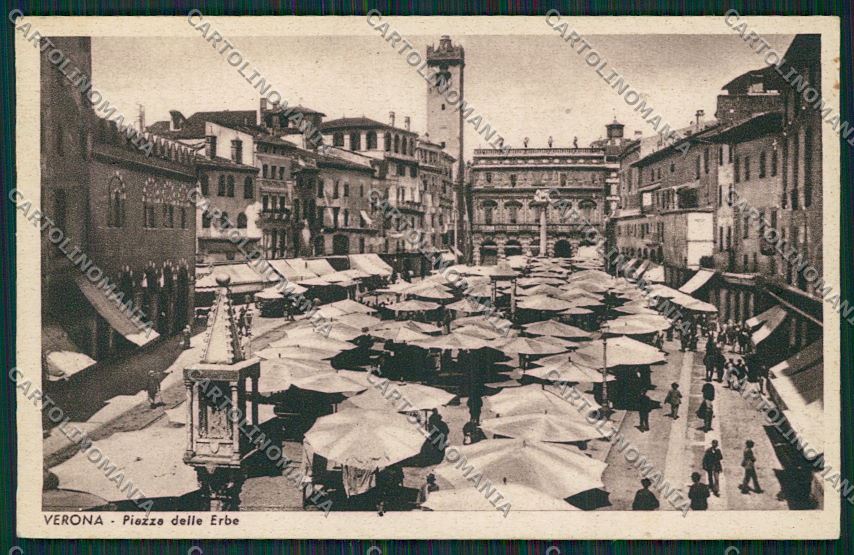 Verona Città cartolina ZC3360 – fronte