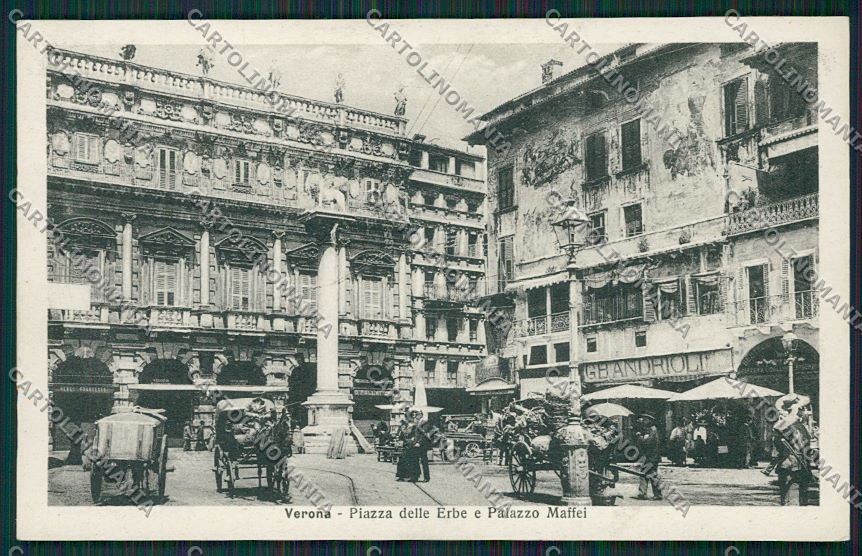 Verona Città cartolina ZC3366 – fronte