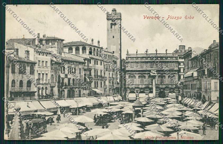 Verona Città cartolina ZC3446 – fronte