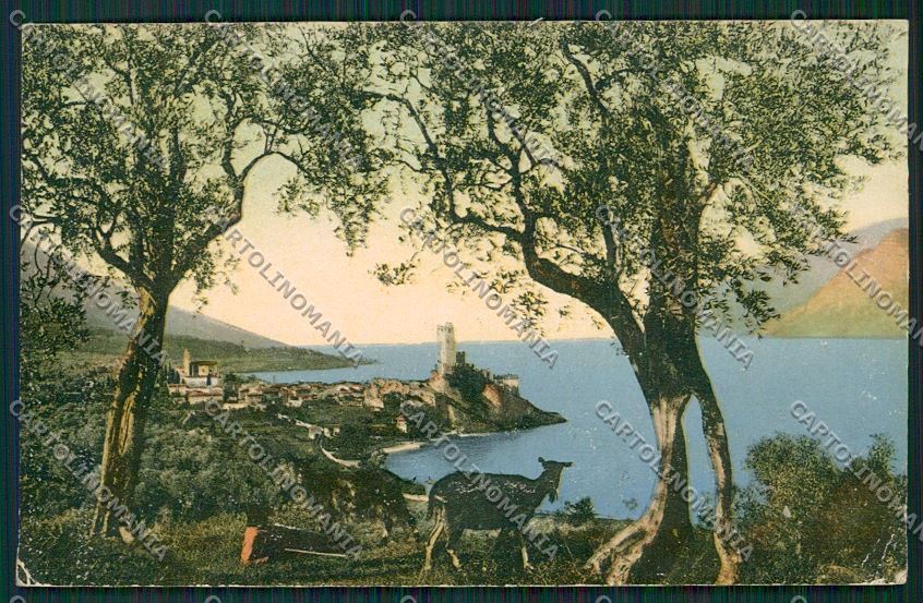 Verona Malcesine cartolina ZC3565 – fronte