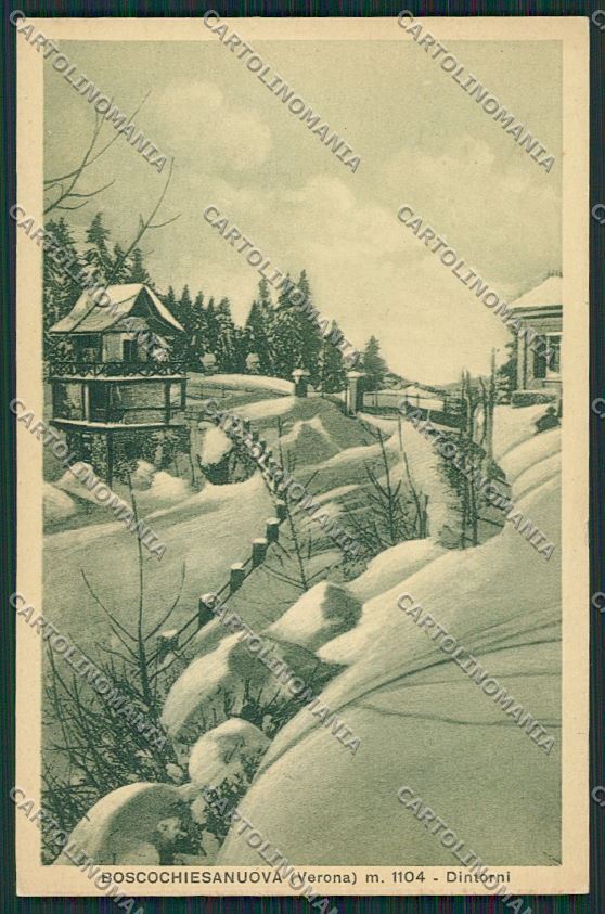 Verona Bosco Chiesanuova Nevicata cartolina ZC3728 – fronte