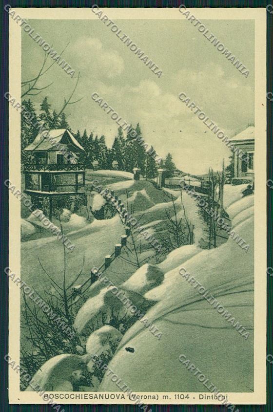 Verona Bosco Chiesanuova Nevicata cartolina ZC3740 – fronte