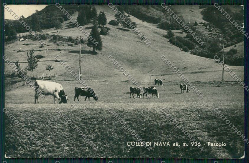 Imperia Colle di Nava Foto cartolina ZC3773 – fronte
