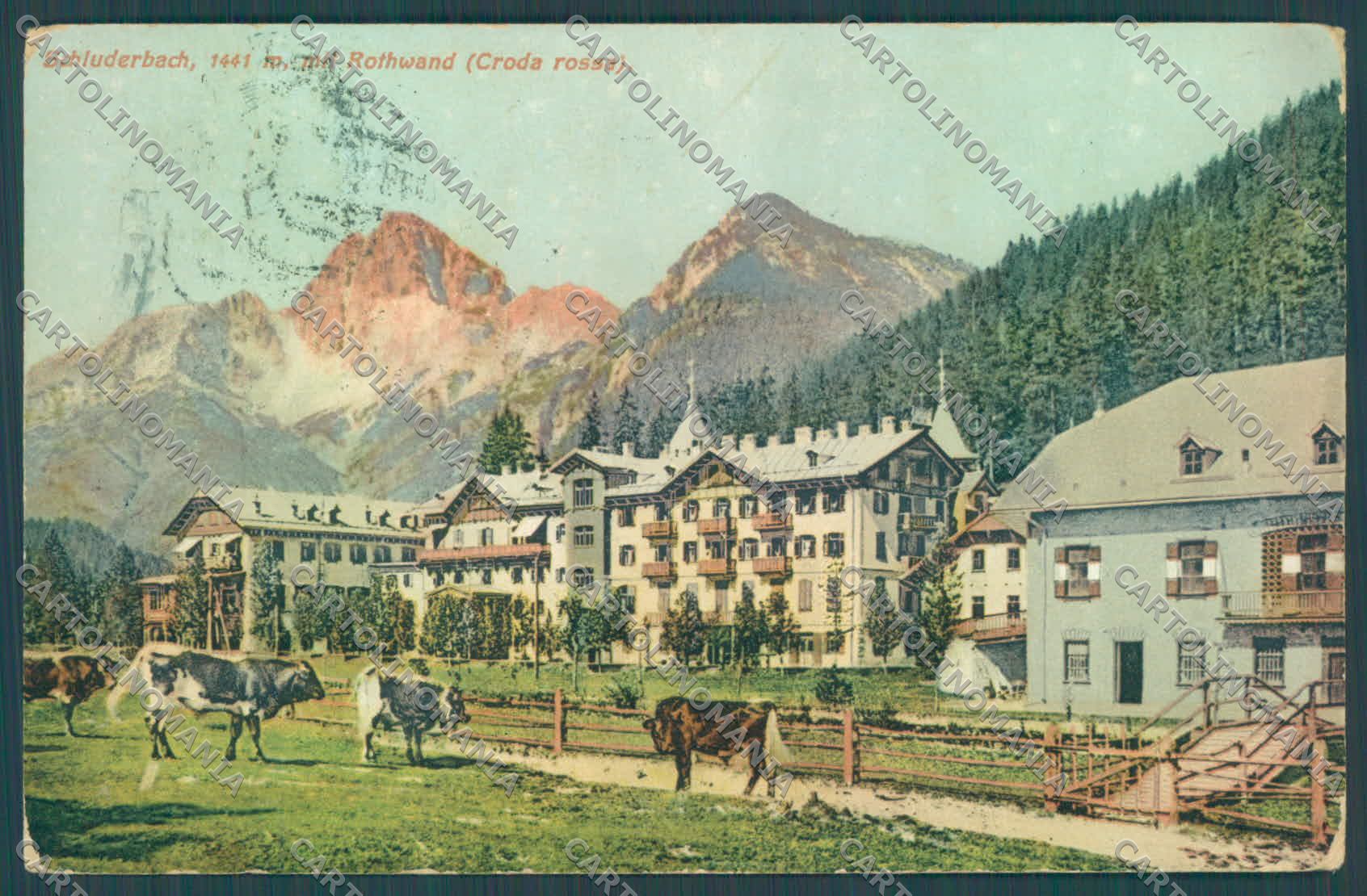Bolzano Dobbiaco Carbonin Croda Rossa Pascolo ABRASAcartolina ZC4050 – fronte
