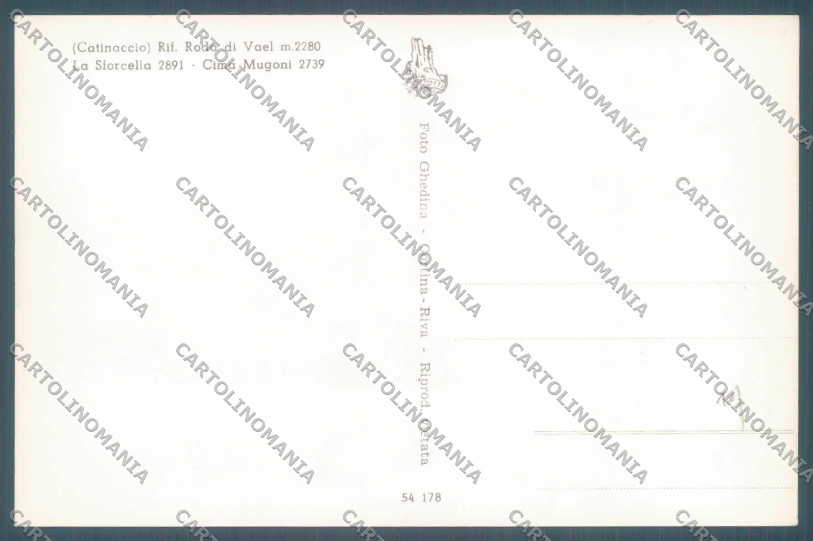 Trento Vigo di Fassa Rifugio Roda di Vaèl Mugoni PIEGHINA Foto cartolina ZC4133 – retro
