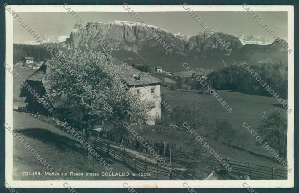 Bolzano Renon Collalbo Foto cartolina ZC4164 – fronte