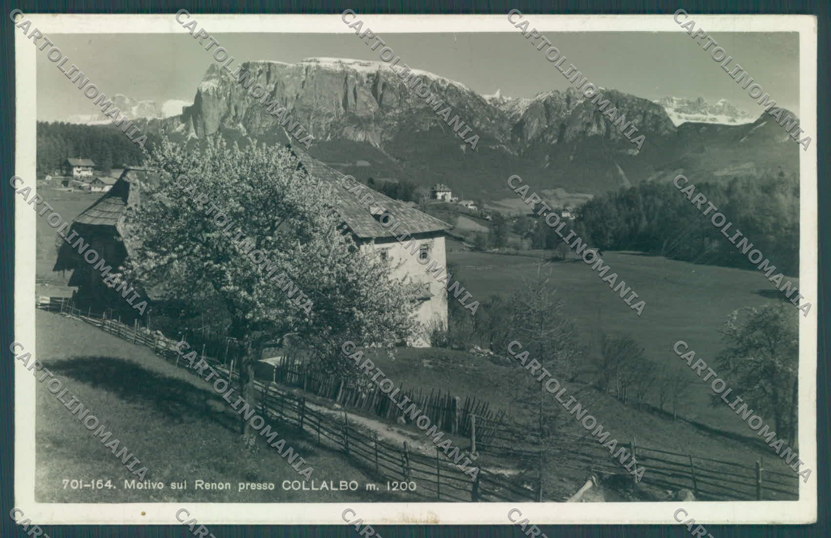 Bolzano Renon Collalbo Foto cartolina ZC4164 – fronte