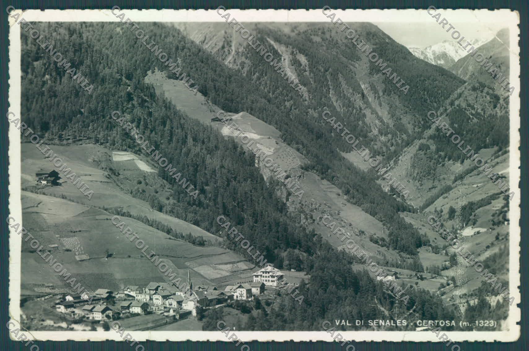 Bolzano Certosa Val Senales STRAPPINO PIEGHE Foto cartolina ZC4165 – fronte