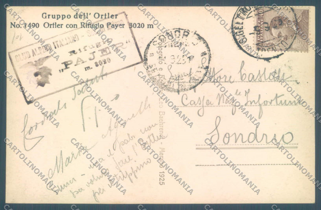 Bolzano Solda Rifugio Pajer Gruppo Ortler Cai Foto cartolina ZC4191 – retro