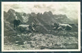 Bolzano Tires Alpe di Mucche Pascolo Foto cartolina ZC4563 – fronte