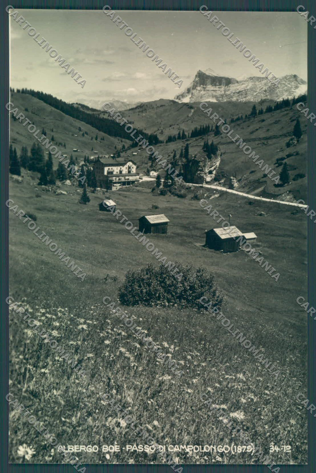 Belluno Passo Campolongo Albergo Boè Foto cartolina ZC4605 – fronte
