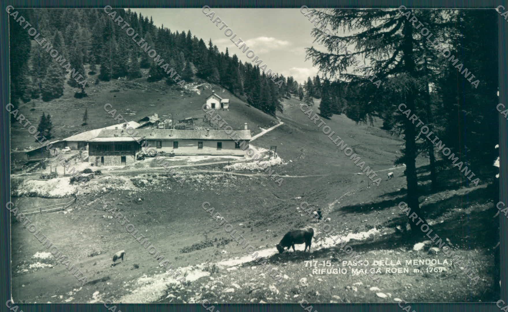 Trento Amblar Rifugio Malga Roen Foto cartolina ZC4658 – fronte