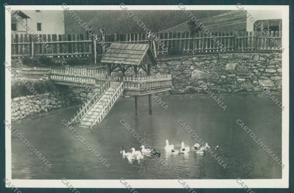 Bolzano Nova Ponente Pietralba Santuario di Anatre Foto cartolina ZC4918 – fronte