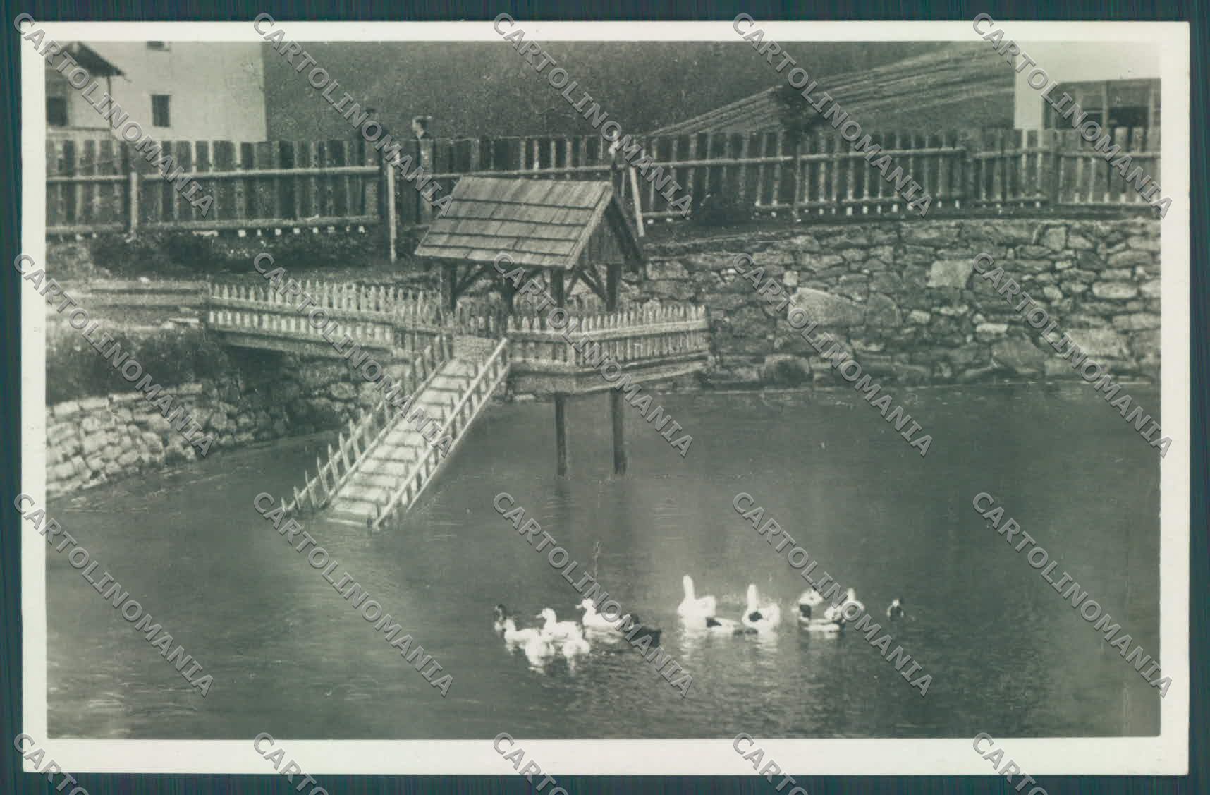 Bolzano Nova Ponente Pietralba Santuario di Anatre Foto cartolina ZC4918 – fronte