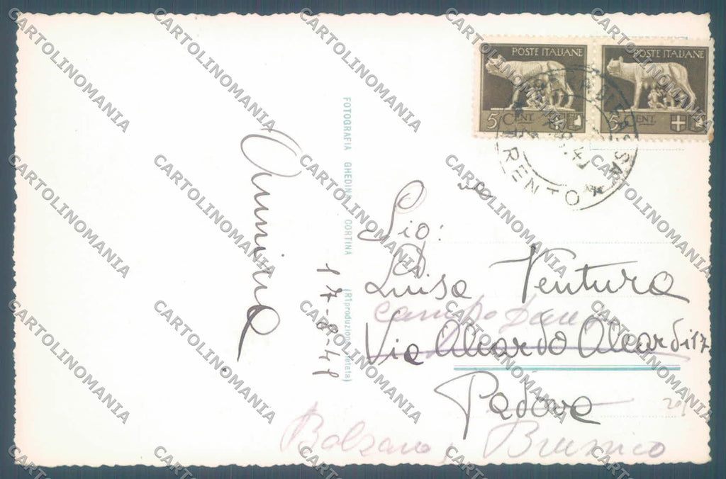 Trento Rifugio Ciampedie Dirupi di Larsec Foto cartolina ZC4954 – retro