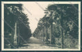 Trento Riva Lago di Garda Foto cartolina ZC5198 – fronte