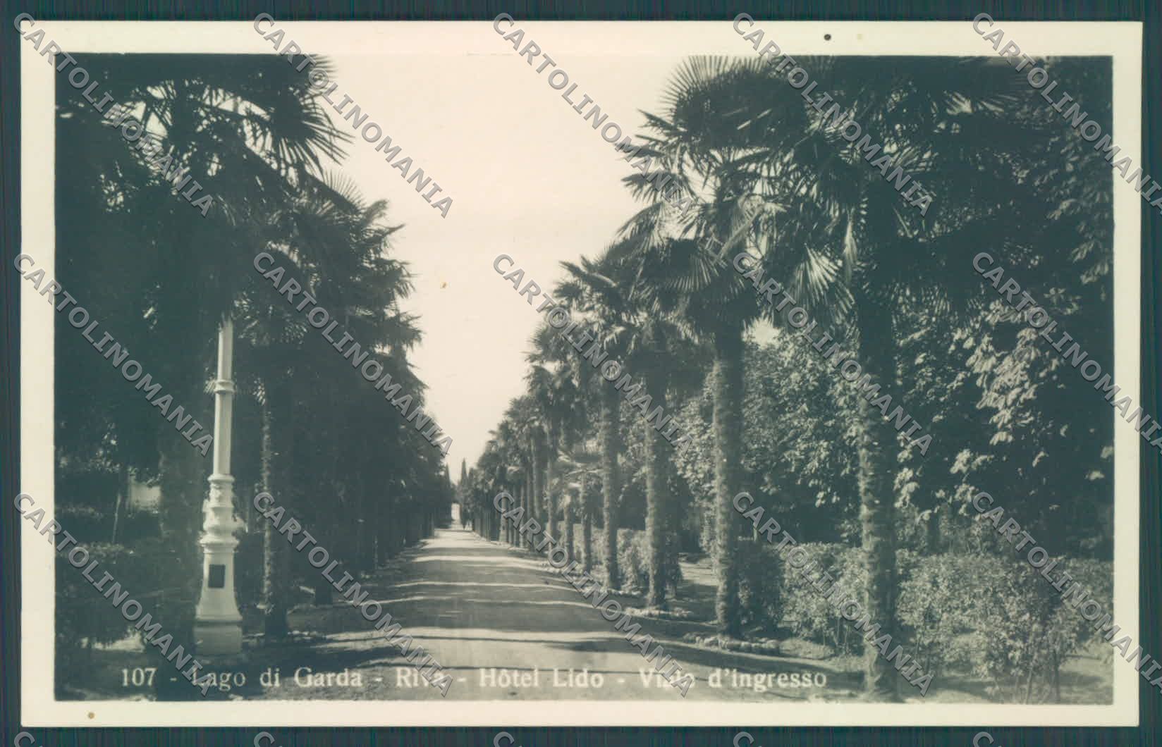 Trento Riva Lago di Garda Foto cartolina ZC5198 – fronte