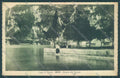 Trento Riva Lago di Garda Strada del Ponale cartolina ZC5252 – fronte