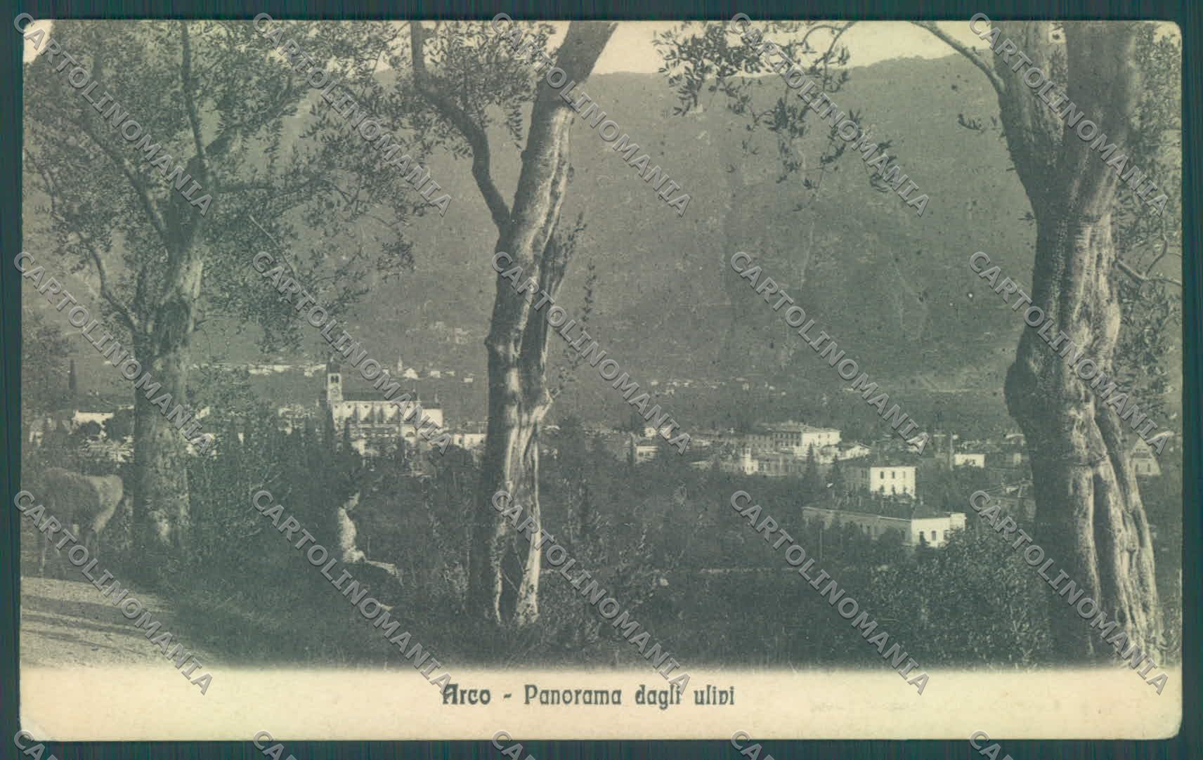 Trento Arco ABRASA cartolina ZC5324 – fronte