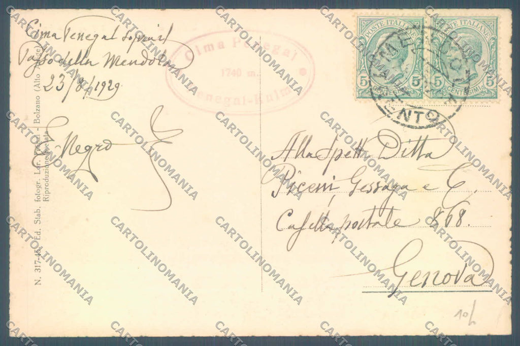 Trento Mendola Casa Penegal Gruppo Brenta cartolina ZC5440 – retro