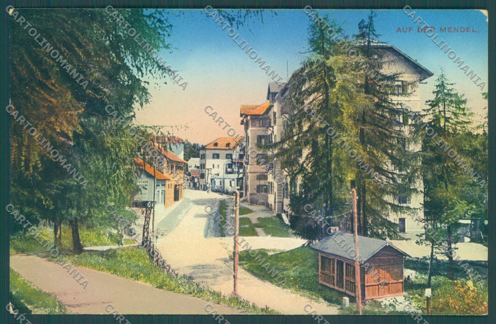 Trento Mendola cartolina ZC5449 – fronte