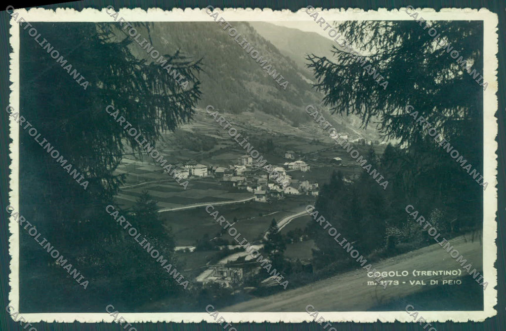 Trento Peio Cogolo Foto cartolina ZC5468 – fronte