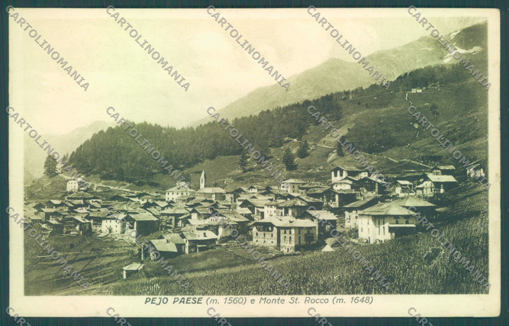 Trento Peio cartolina ZC5475 – fronte