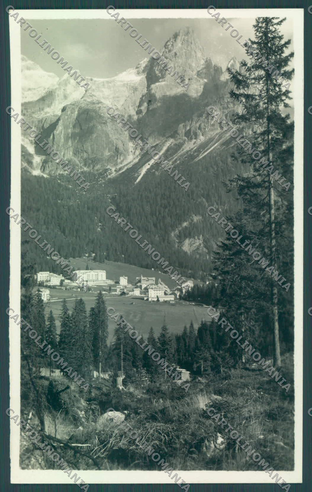 Trento San Martino di Castrozza Rosetta Foto cartolina ZC5491 – fronte