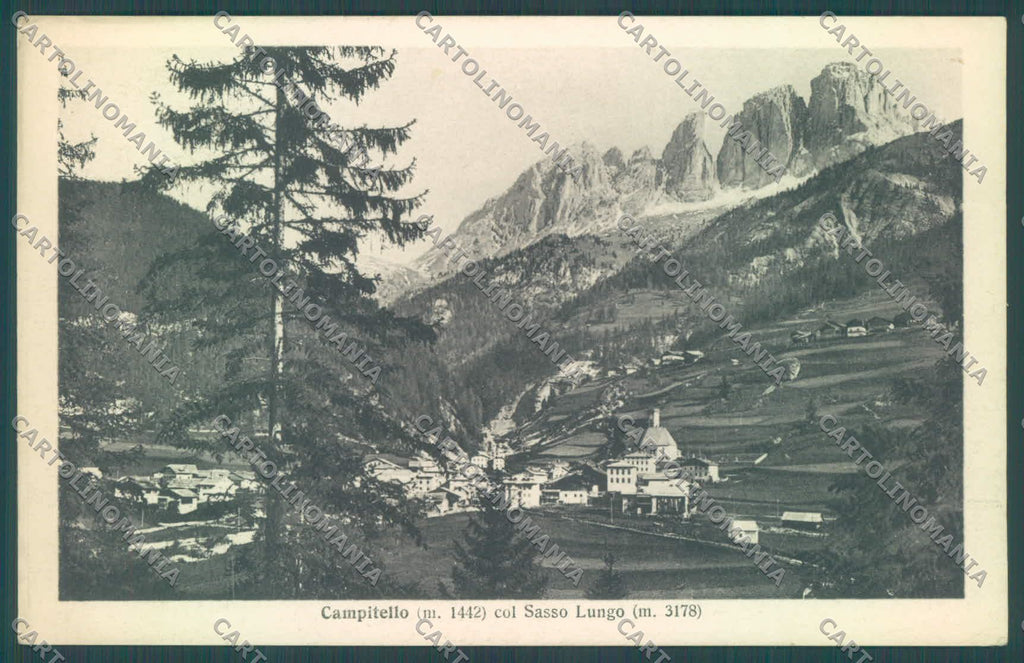 Trento Campitello di Fassa Sassolungo cartolina ZC5543 – fronte