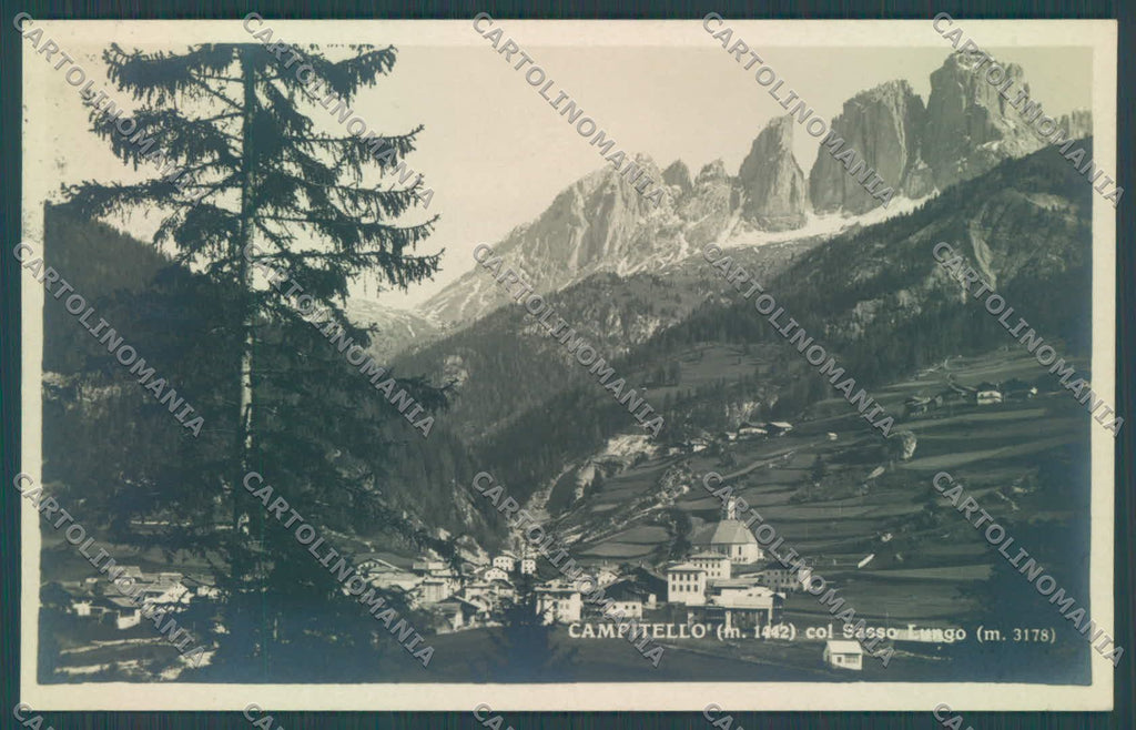 Trento Campitello di Fassa Sassolungo Foto cartolina ZC5547 – fronte