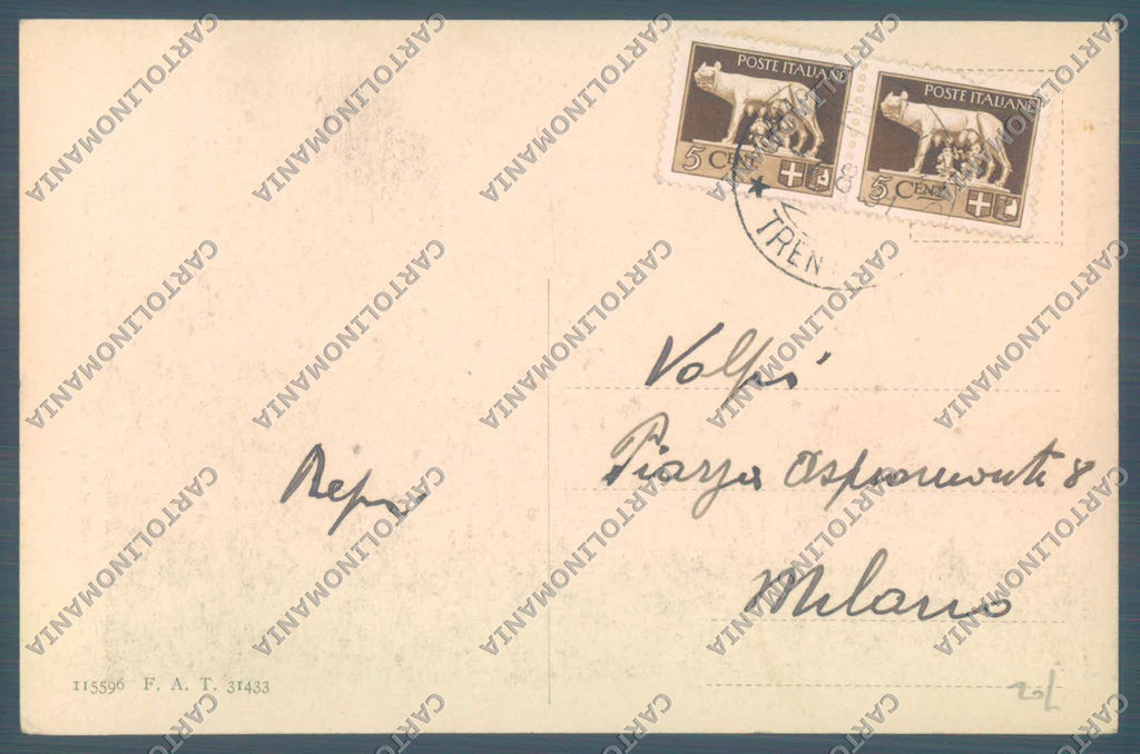 Trento Campitello di Fassa Sassolungo Mucche Coen cartolina ZC5556 – retro