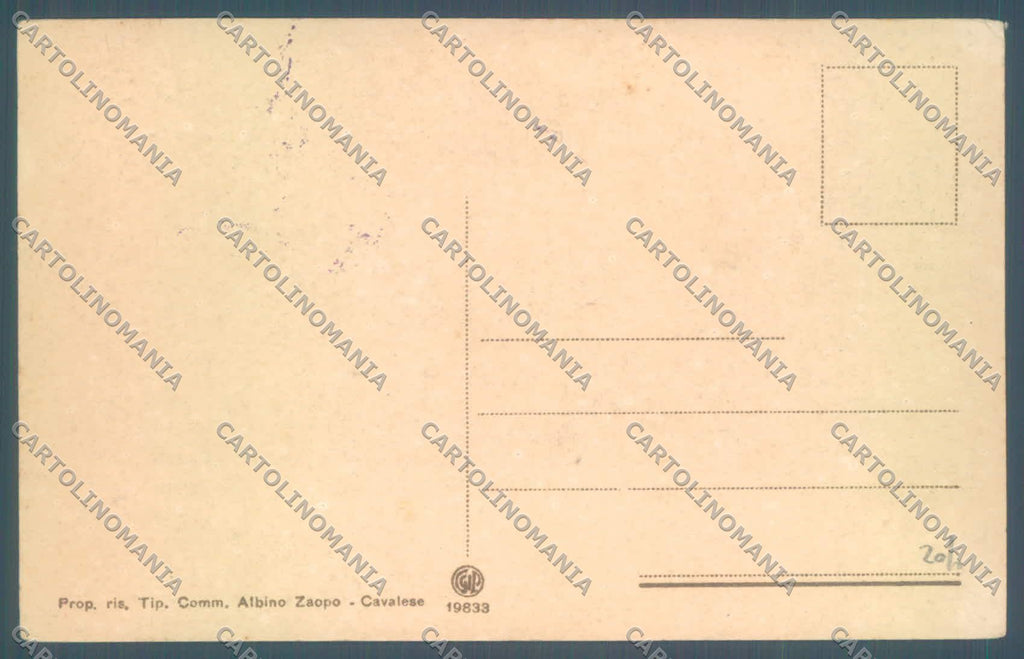 Trento Cavalese cartolina ZC5643 – retro