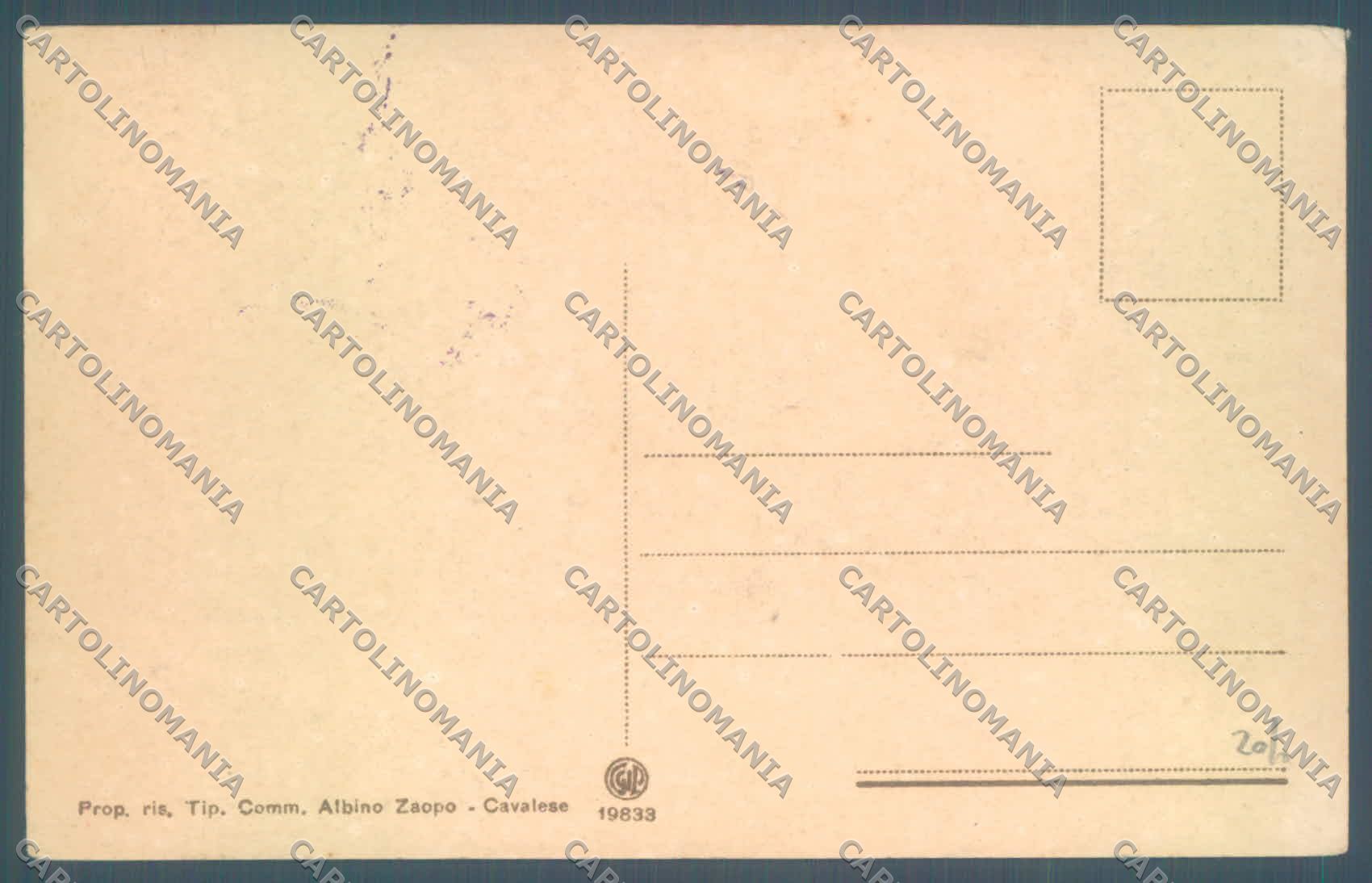 Trento Cavalese cartolina ZC5643 – retro