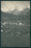 Verbania Premia Valle Antigorio Pascolo Foto cartolina ZC5880 – fronte