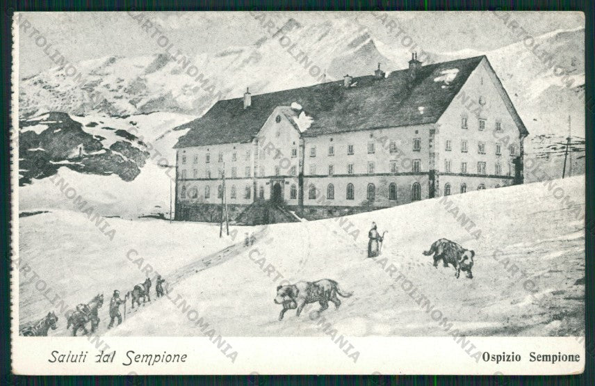 Verbania Strada del Sempione Ospizio Cani cartolina ZC5896 – fronte