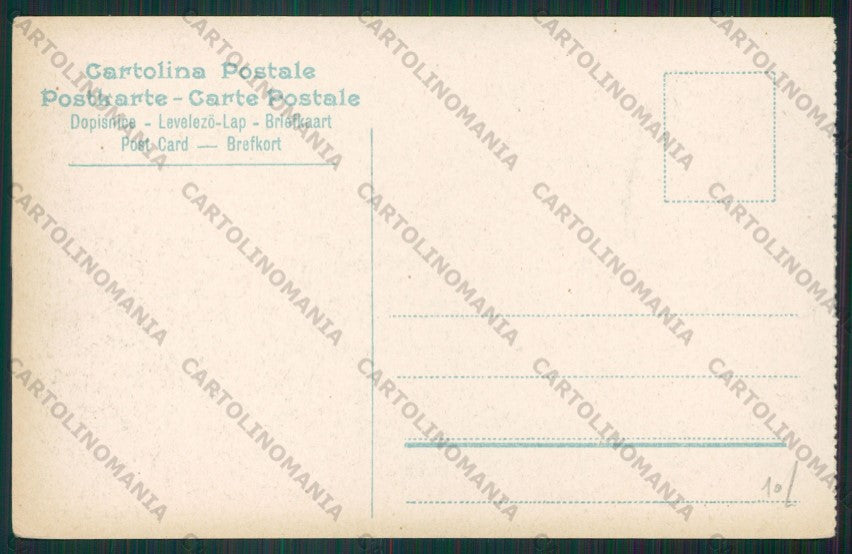 Verbania Strada del Sempione Ospizio Cani cartolina ZC5896 – retro