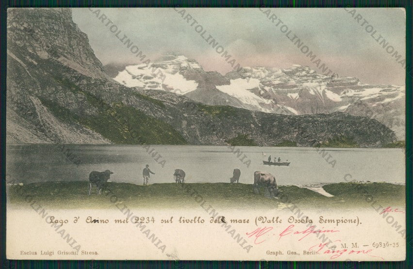Verbania Varzo Lago d'Avino Pascolo cartolina ZC5898 – fronte