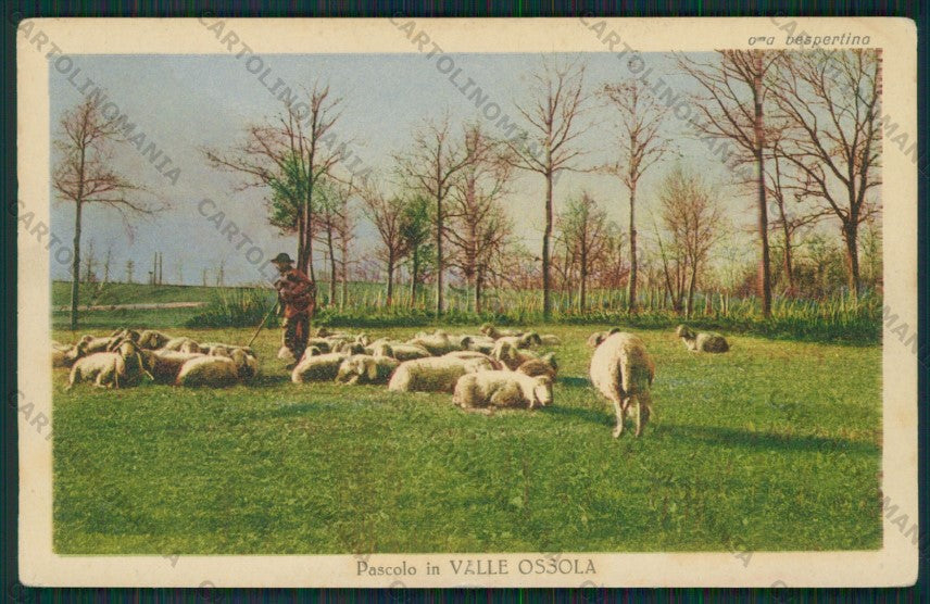 Verbania Valle Ossola Pascolo cartolina ZC6077 – fronte