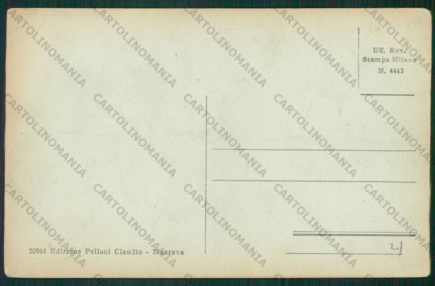 Mantova Città Rio della Peschiera cartolina ZC6174 – retro