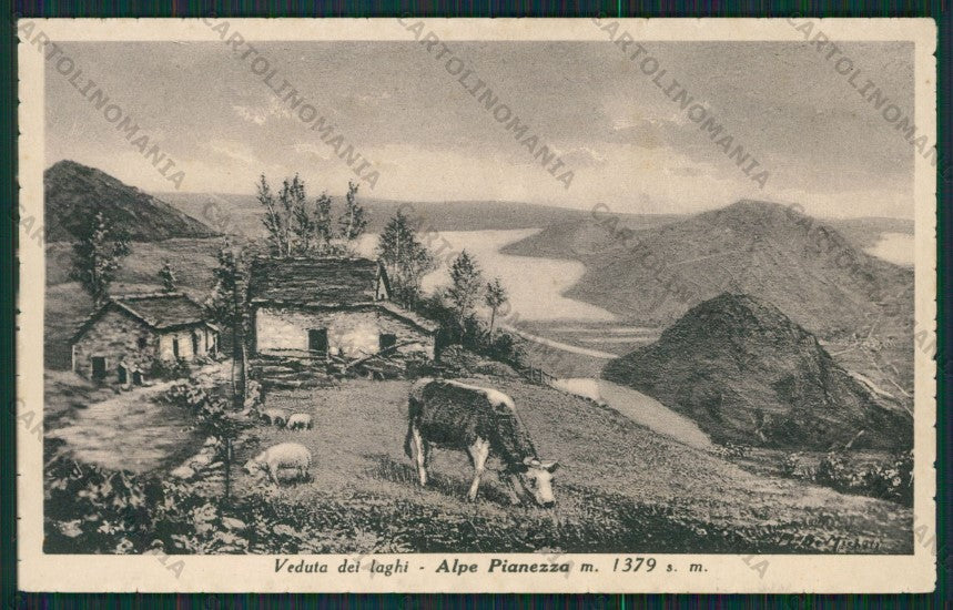 Verbania Intra Alpe Pianezza Pascolo cartolina ZC6305 – fronte