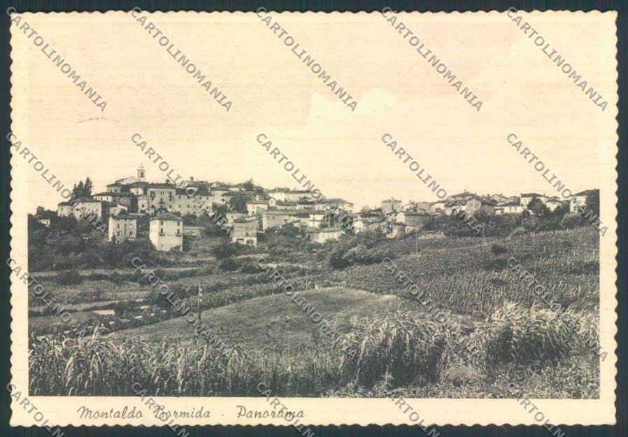 Alessandria Montaldo Bormida FG cartolina ZF0037 – fronte