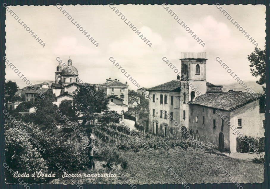 Alessandria Costa d'Ovada Foto FG cartolina ZF0044 – fronte