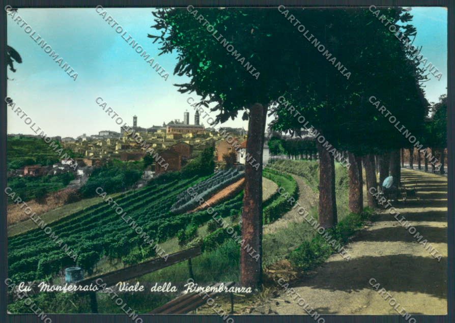 Alessandria Lu Monferrato Foto FG cartolina ZF0046 – fronte